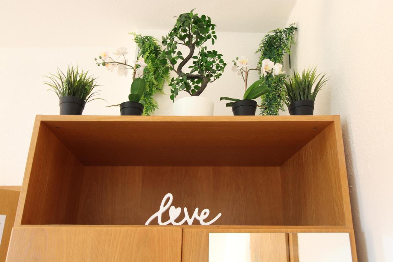 Downtown Apartments Ulm - Im Herzen Von Ulm & Komfortable Boxspringbetten エクステリア 写真